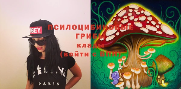 бошки Алзамай