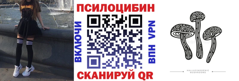 Псилоцибиновые грибы Cubensis  OMG ССЫЛКА  Беслан  что такое  